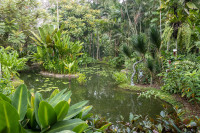 Singapore Botanic Gardens